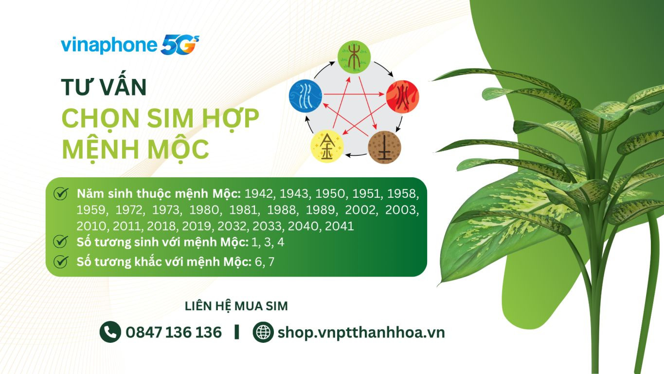 Sim hợp mệnh Mộc